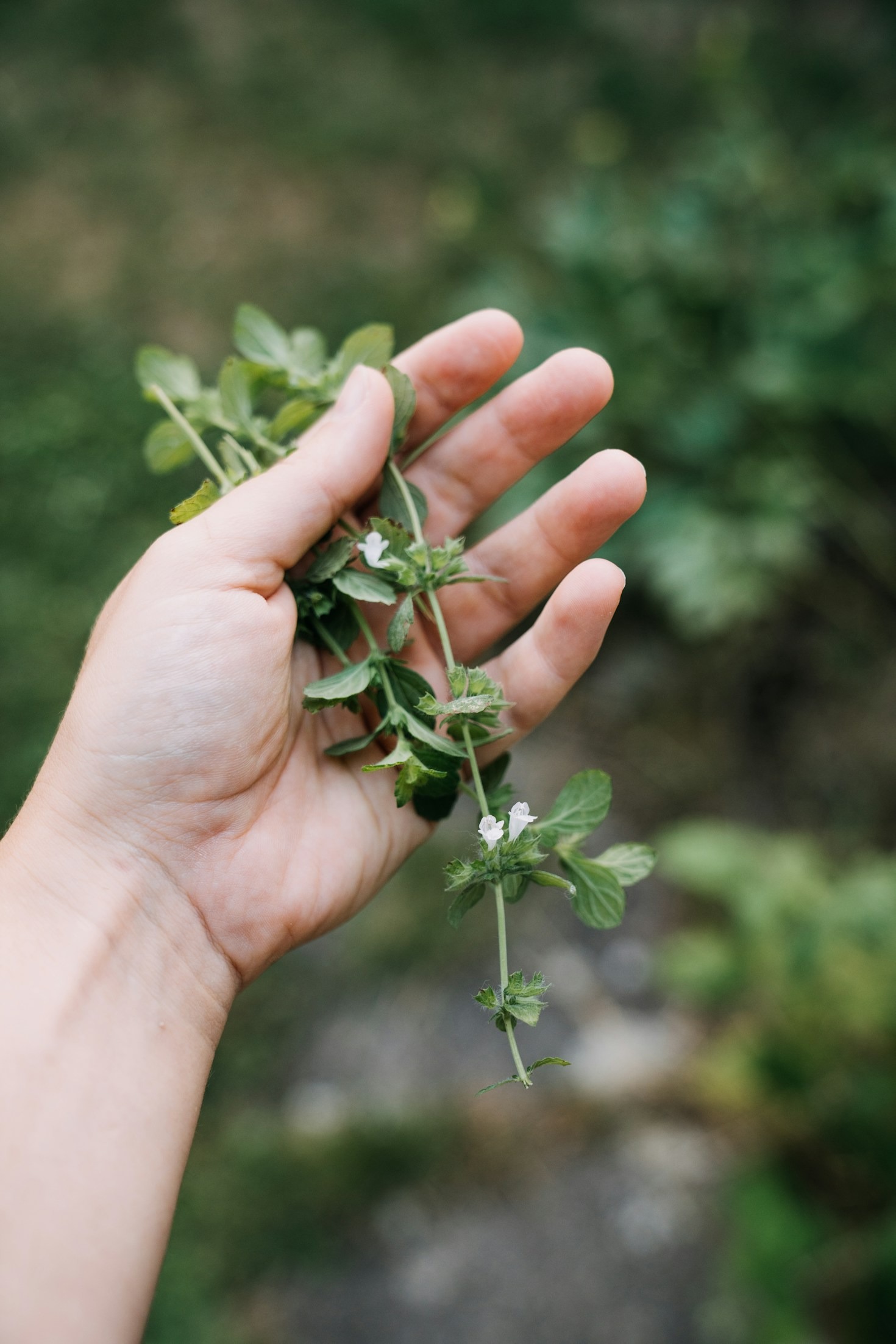 How Natural Cosmetics Benefit Your Skin Long-Term
